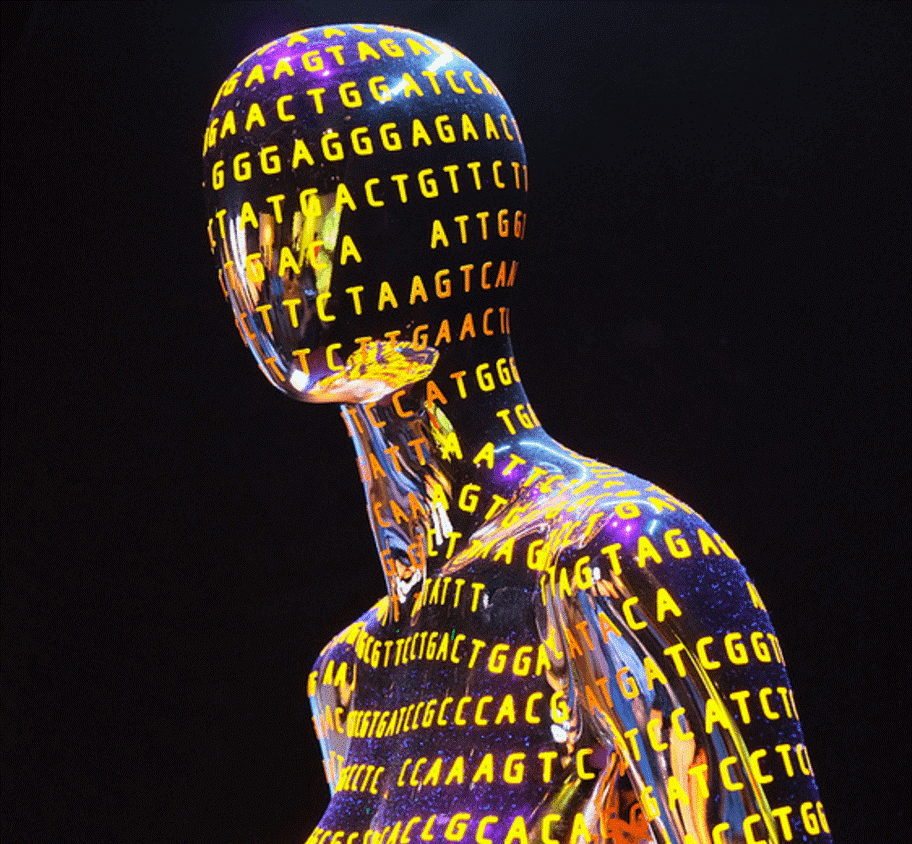 The human genome