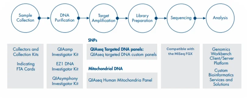 qiangs-workflow-in-humans(1)