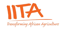 IITA-rectangle-logo1